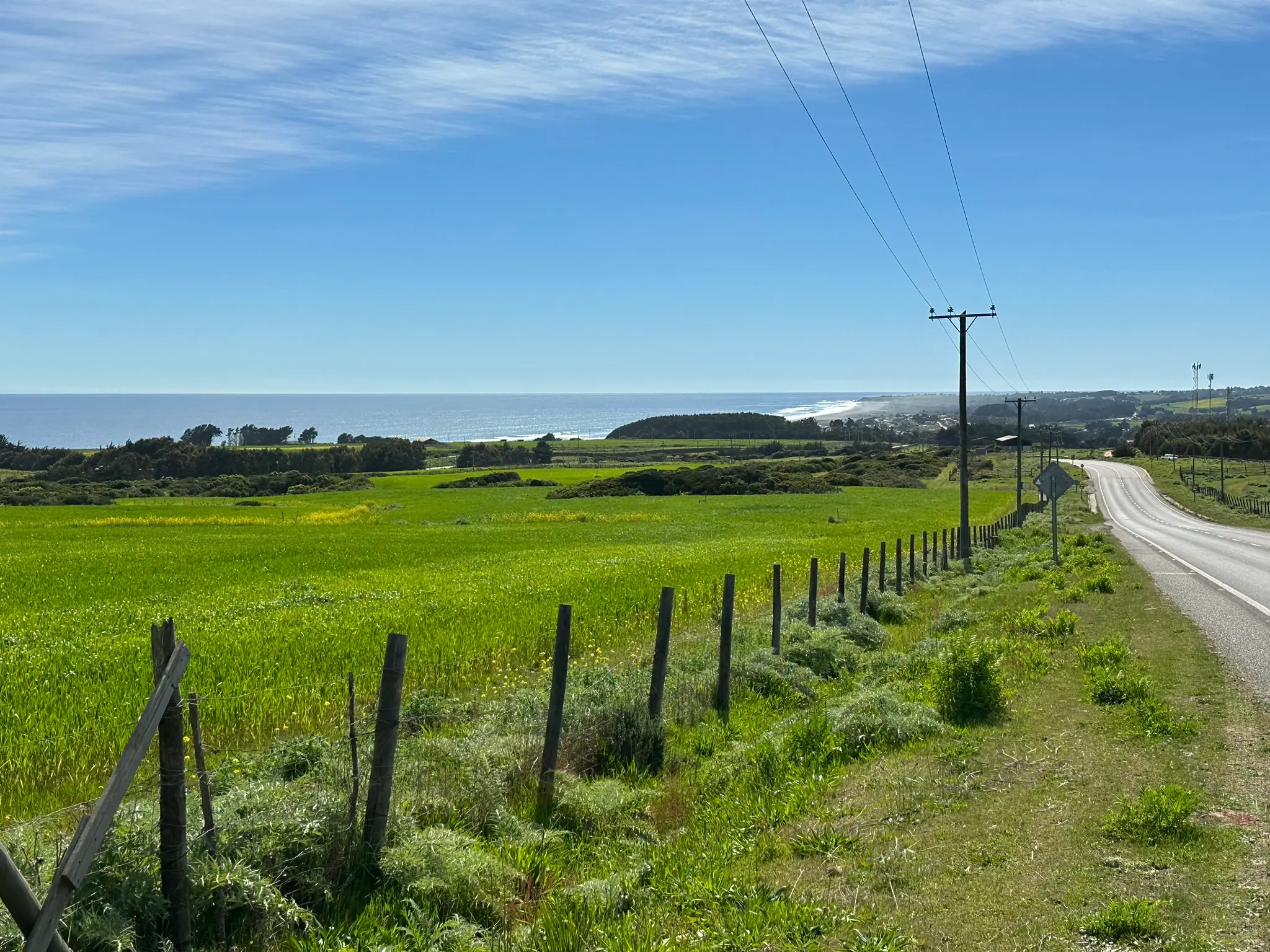 Camino entre praderas verdes hacia el mar, cerca de Cáhuil